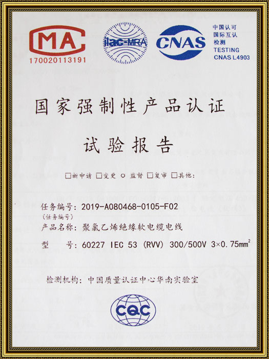 国家强制性产品认证试验报告