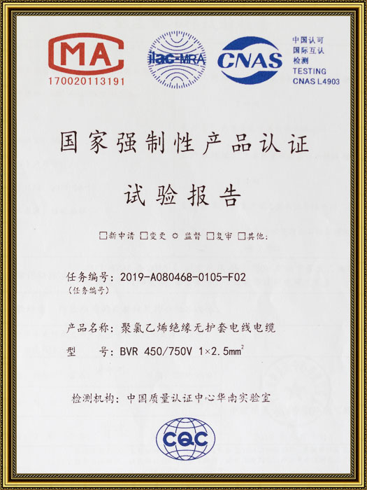 国家强制性产品认证试验报告