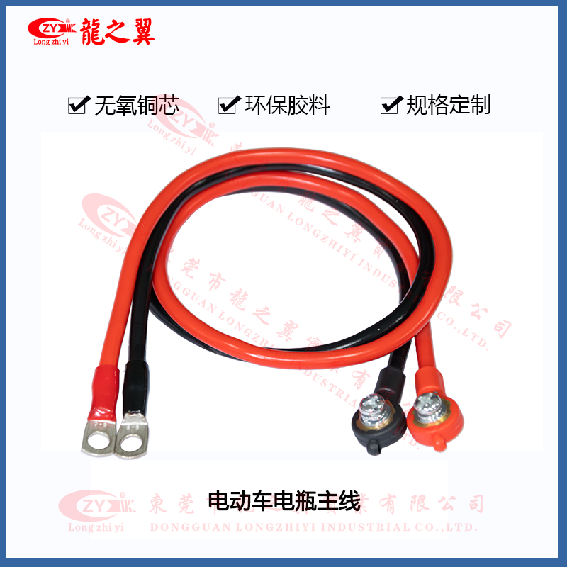 电动车电瓶主线