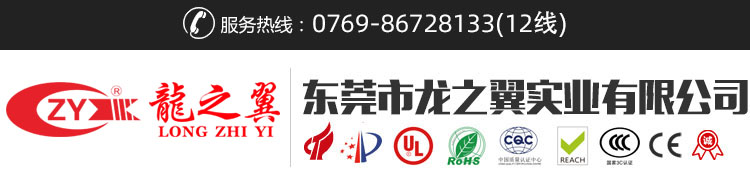 东莞市龙之翼实业有限公司