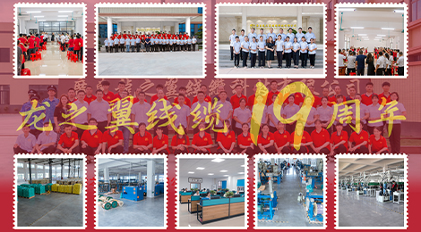 “十”光不老，历“九”弥新丨热烈庆祝龙之翼线缆成立19周年