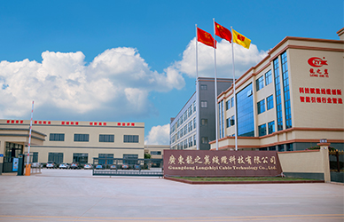 龙之翼线缆