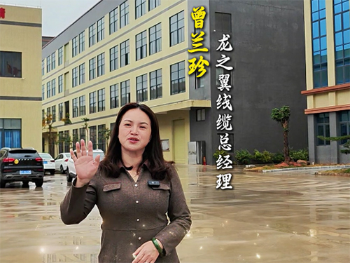 国标电线介绍