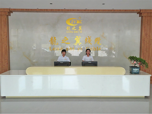 2024龙之翼线缆商...