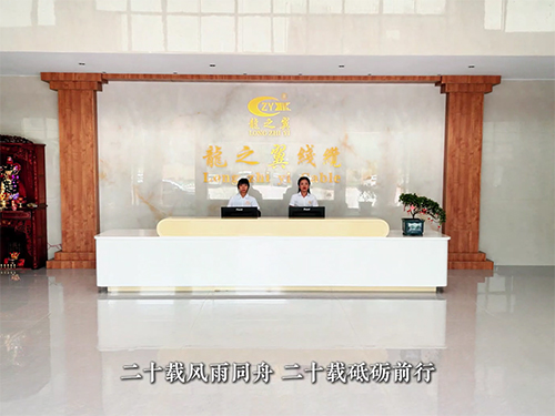 龙之翼20周年宣传片