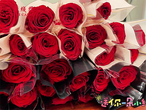 女神节快乐